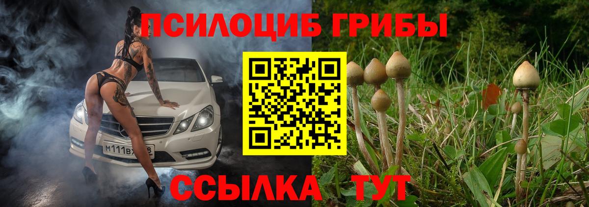 Псилоцибиновые грибы GOLDEN TEACHER Нижний Тагил